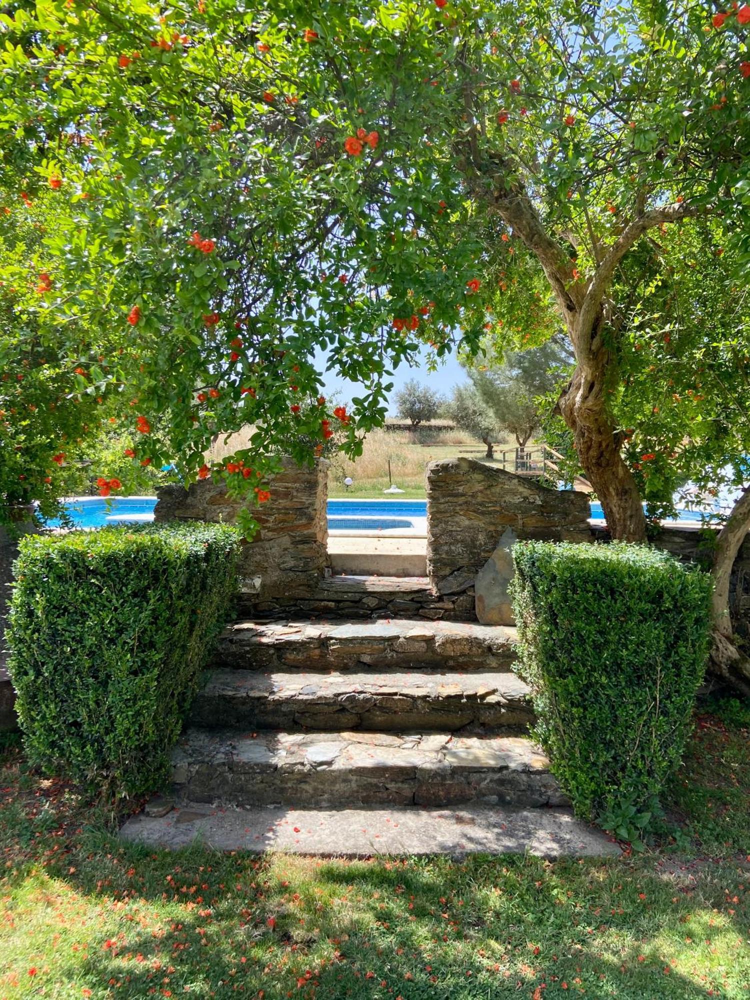 Quinta Alfaval Redondo Exterior foto